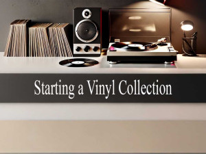 Vinyl Collecting 101: How to Start, Grow, and Preserve Your Collection