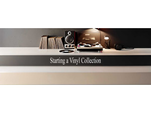 Vinyl Collecting 101: How to Start, Grow, and Preserve Your Collection Vinyl Collecting 101: How to Start, Grow, and Preserve Your Collection