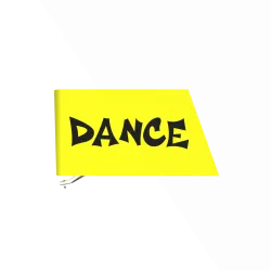 Ortofon VNL Dance Stylus 