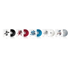 Pioneer Rekordbox RB-VD2 Control Vinyl Pair, Black Pioneer Rekordbox RB-VD2 Control Vinyl Pair, Black