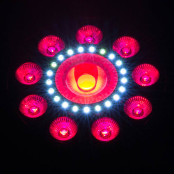 Chauvet FX Par 9 - 4x Package Chauvet FX Par 9 - 4x Package