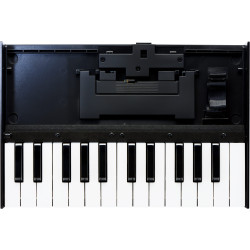 Roland K-25M Boutique Module Dock USB MIDI Keyboard Roland K-25M Boutique Module Dock USB MIDI Keyboard