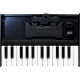 Roland K-25M Boutique Module Dock USB MIDI Keyboard